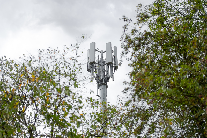 towerInTrees_